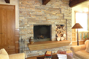 Living room fireplace