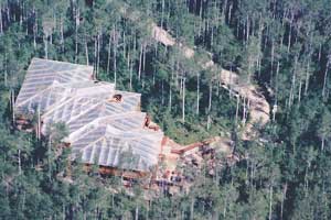 Temporary structural tent to protect main structure