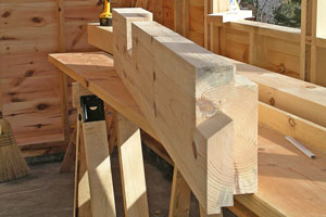 Carrier beam for gable verge beam